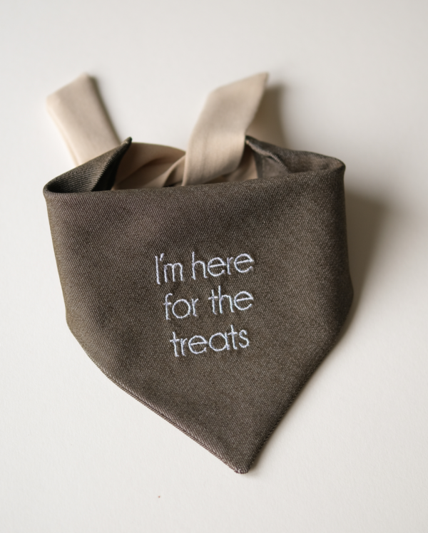 Bandana šunims su išsiuvinėtu užrašu "I'm here for the treats". Puošni bandana, aksesuaras tiek šventėse, tiek mieste. Khaki spalvos
